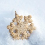Beachsand Snowflakes Sandy Color