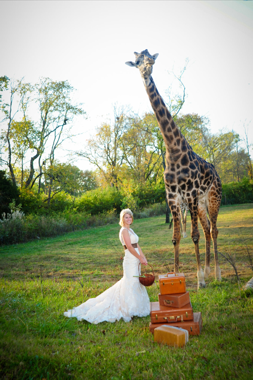Kate Cortelyou Trash The Dress Session Ace Photography 10 Kate Cortelyou Trash The Dress Session Ace Photography 10