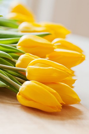 The Sweetest Occasion DIY Floral Centerpiece Tulips The Sweetest Occasion DIY Floral Centerpiece Tulips