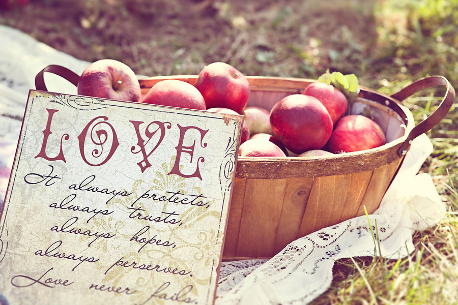 Kristi_Mark_Apple_Orchard_Sweetheart_Engagement_Session_Dana_Ann_Photography_1
