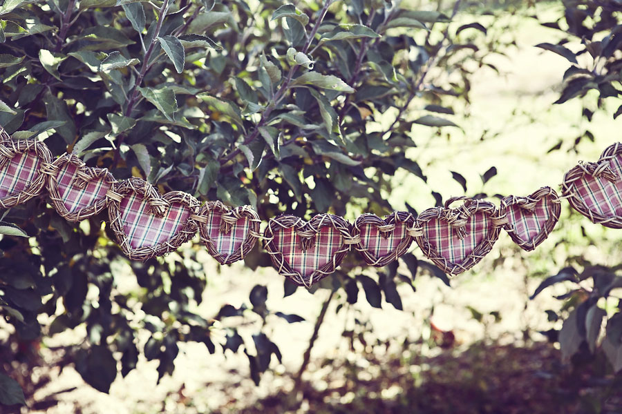 Kristi_Mark_Apple_Orchard_Sweetheart_Engagement_Session_Dana_Ann_Photography_15