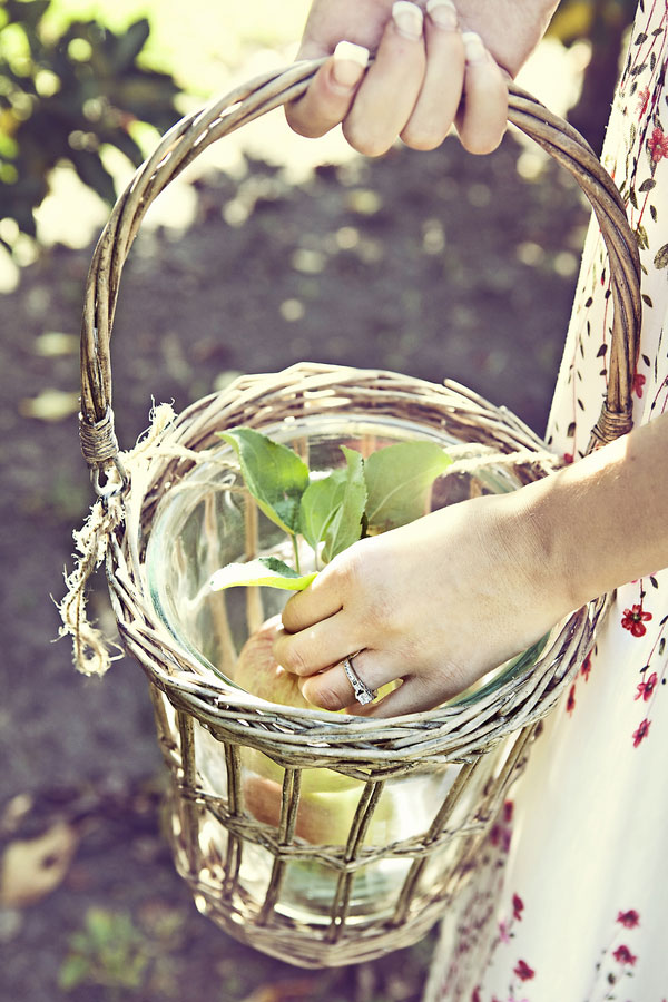 Kristi_Mark_Apple_Orchard_Sweetheart_Engagement_Session_Dana_Ann_Photography_9
