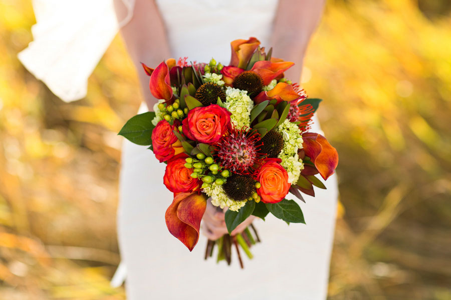 Courtney_Darryl_Fall_Alberta_Canada_Wedding_NC_Photography_7 Courtney_Darryl_Fall_Alberta_Canada_Wedding_NC_Photography_7