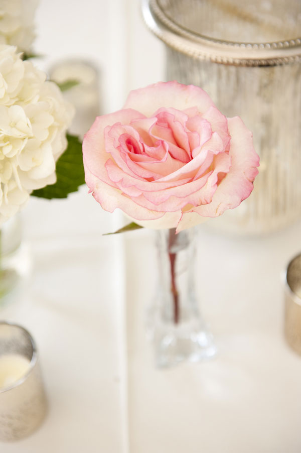 Courtney_Whitney_Runnymede_Plantation_Mercury_Glass_Wedding_Reese_Moore_Weddings_20