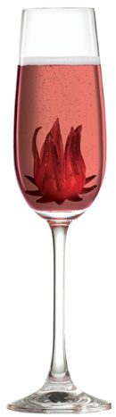 cocktail_hibiscus_royale2