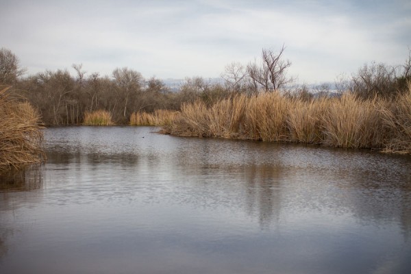 Jessica_Leo_San_Diego_River_Fishing_Engagement_Shoot_Brandon Heath_Photo_2