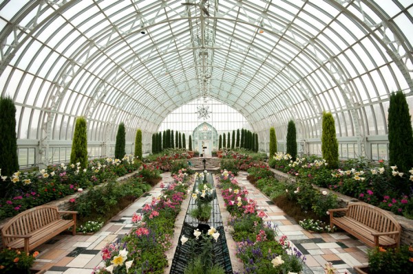 Sunken_Garden_Como_Zoo_Conservatory_Wedding_Erin_Johnson_Photography_2