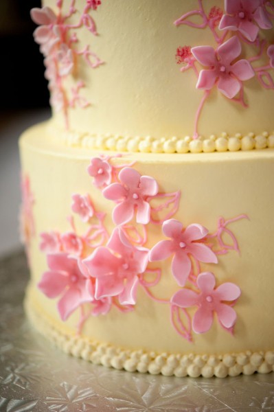 Sunken_Garden_Como_Zoo_Conservatory_Wedding_Erin_Johnson_Photography_5